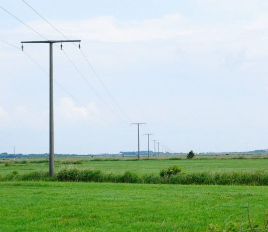 Homepage u2013 Sport  Bionews